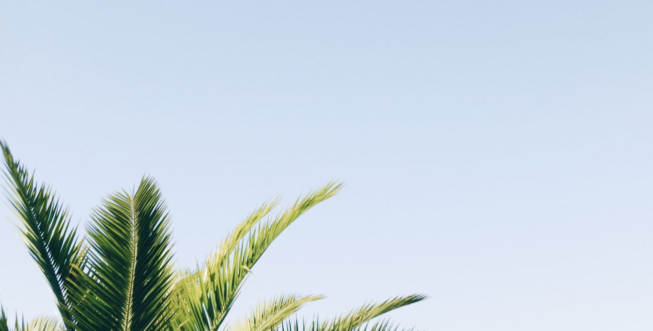 Luisa-azevedo-344366-unsplash